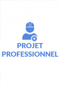 formation Projet Professionel