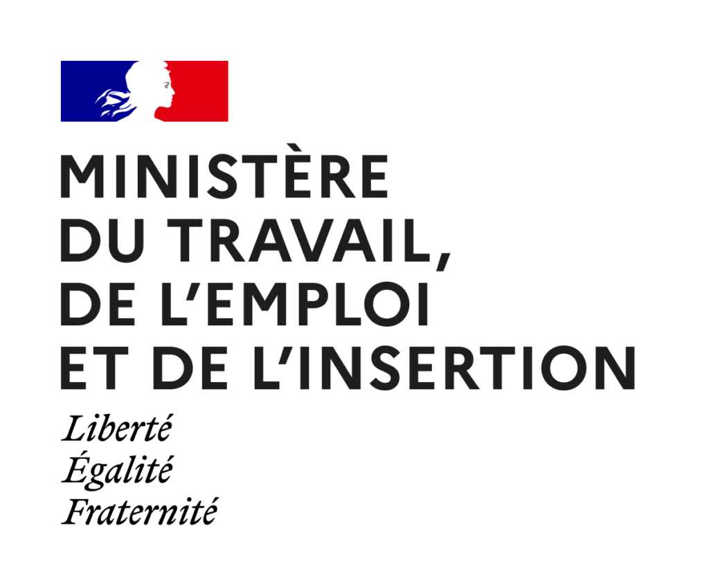 Logo ministère du travail, de l'emploi et de l'insertion